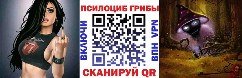 купить  сайты  Сольвычегодск  Галлюциногенные грибы Cubensis 
